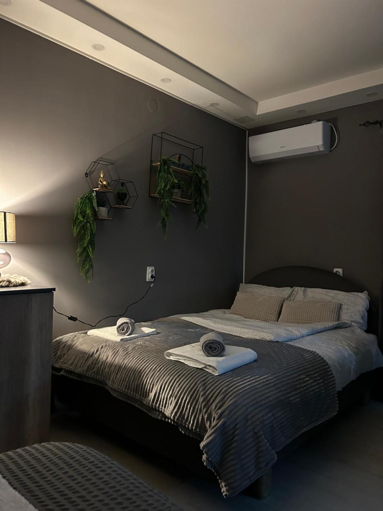 Beta House Apartments Zaječar Eksteriør billede
